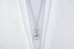 Load image into Gallery viewer, Silver necklace with a unique pendant on a white background
